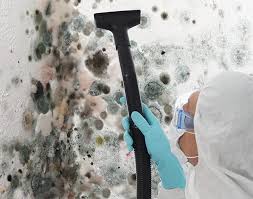  Fairfax, OH Mold Prevention & Removal Pros